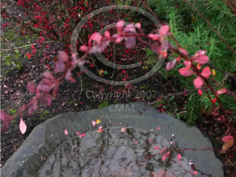 Fountain with copyright