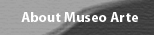 About Museo Arte